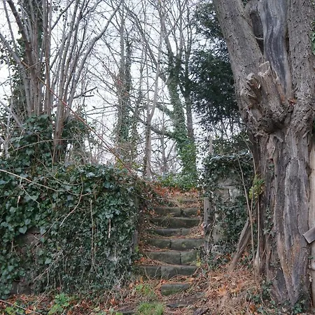 Stadtvilla Am Elbhang *