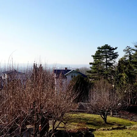 Stadtvilla Am Elbhang *