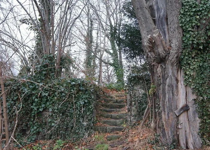 Stadtvilla Am Elbhang *