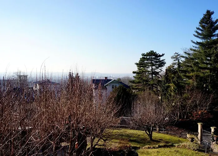 Stadtvilla Am Elbhang *