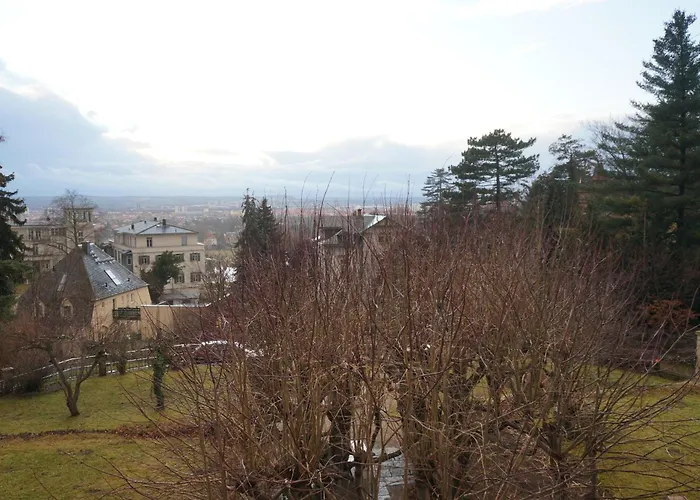 Stadtvilla Am Elbhang *